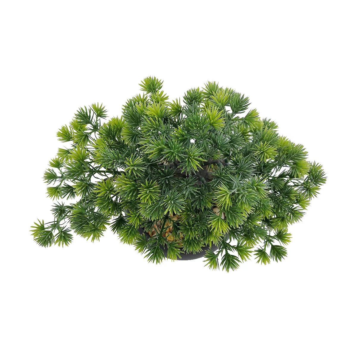 شجرة بونساي صناعية العرعر نبات - مراجعة Bonsai Garden Juniper وسعره