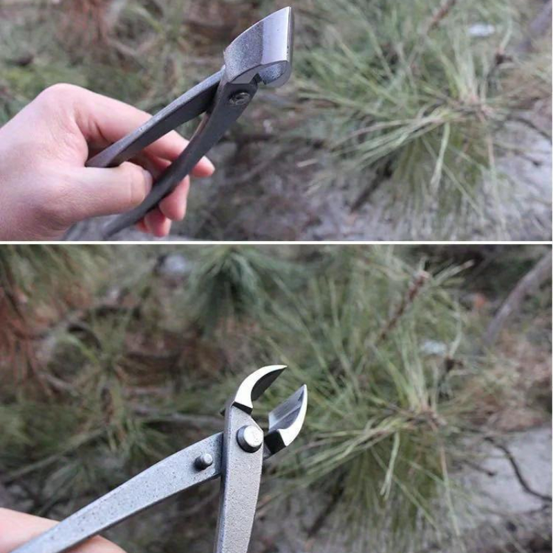بونساي مقبض القاطع مقعر حافة ا - مراجعة Concave Branch Cutter وسعره