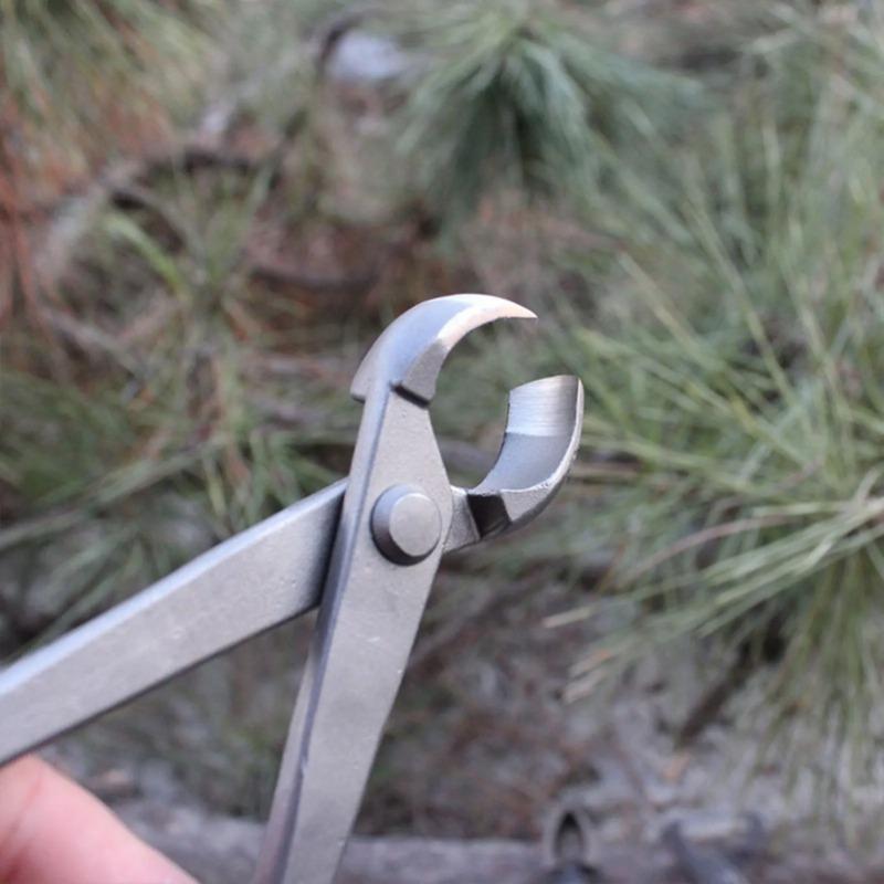 بونساي مقبض القاطع مقعر حافة ا - مراجعة Concave Branch Cutter وسعره