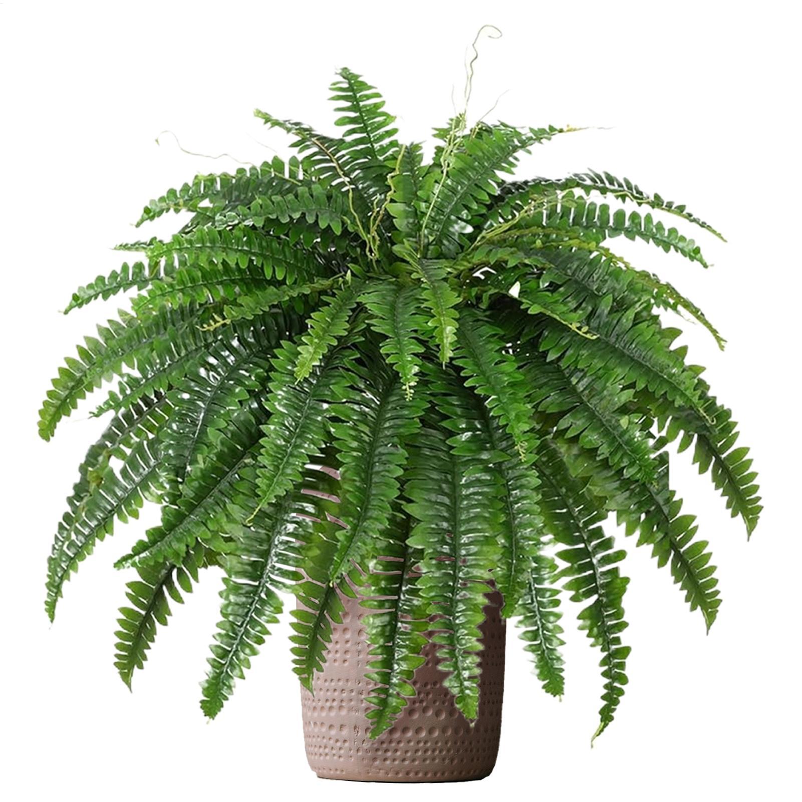 نباتات بلاستيكية اصطناعية تشبه - مراجعة Bonsai Garden Boston وسعره