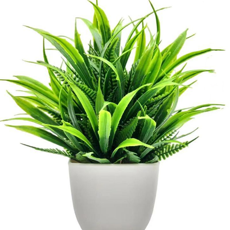 نباتات بونساي صناعية خضراء مزي - مراجعة Bonsai Garden Zen وسعره