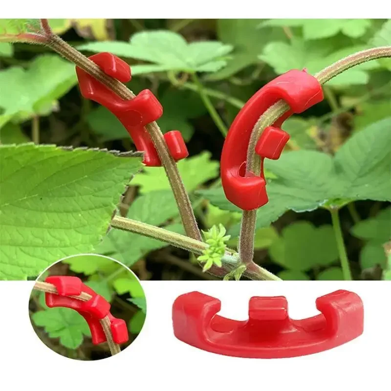 10-100 قطعة من مشابك ثني النبا - مراجعة Concave Branch Cutter وسعره