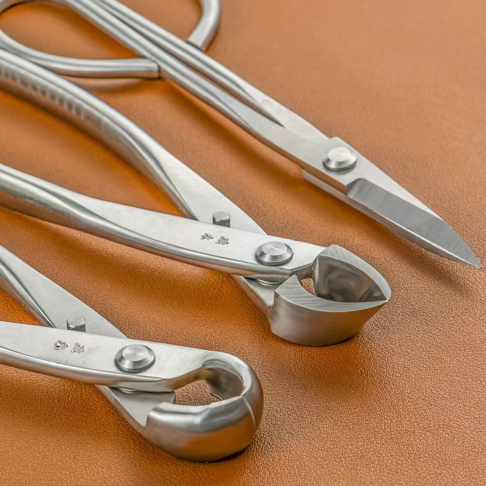 مجموعة أدوات البونساي (3 قطع)  - مراجعة Concave Branch Cutter وسعره