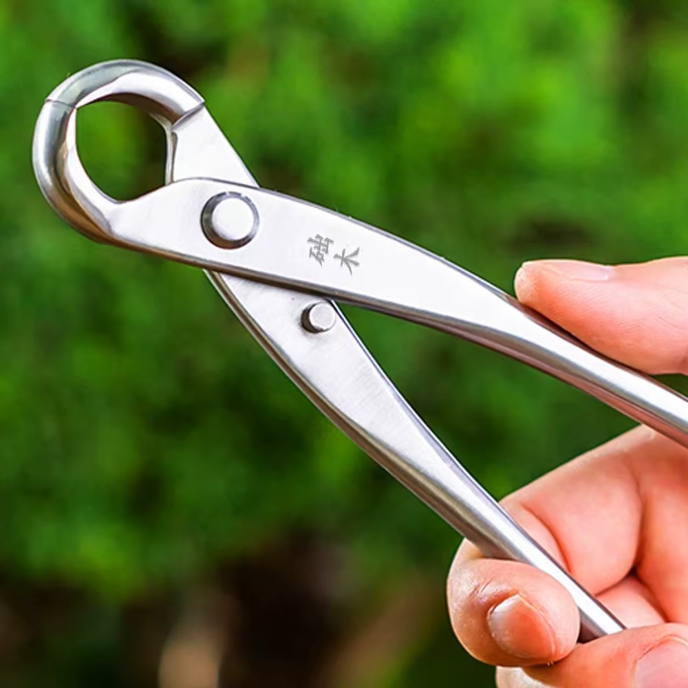 مجموعة أدوات البونساي (3 قطع)  - مراجعة Concave Branch Cutter وسعره
