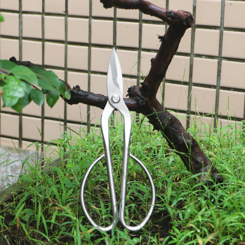 مقصات حديقة من الفولاذ بالكامل - مراجعة Concave Branch Cutter وسعره