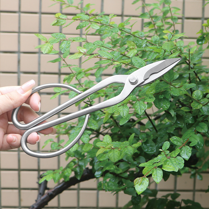 مقصات حديقة من الفولاذ بالكامل - مراجعة Concave Branch Cutter وسعره