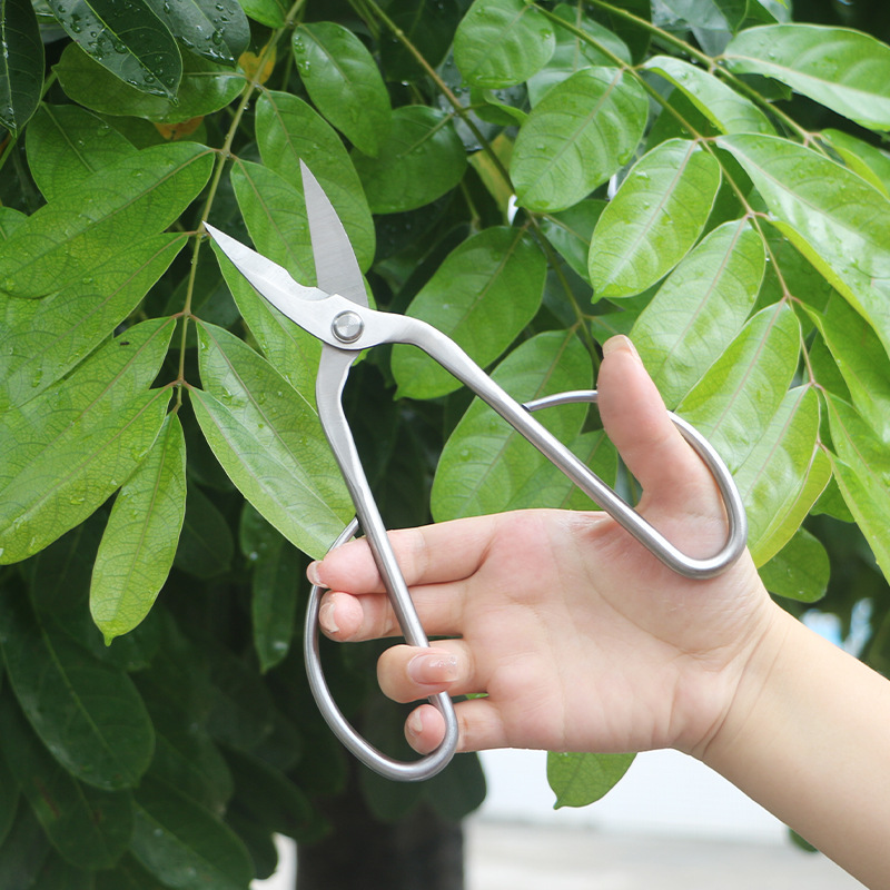 مقصات حديقة من الفولاذ بالكامل - مراجعة Concave Branch Cutter وسعره