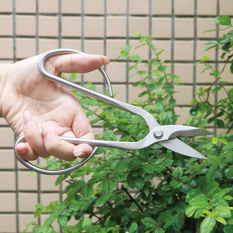 مقصات حديقة من الفولاذ بالكامل - مراجعة Concave Branch Cutter وسعره