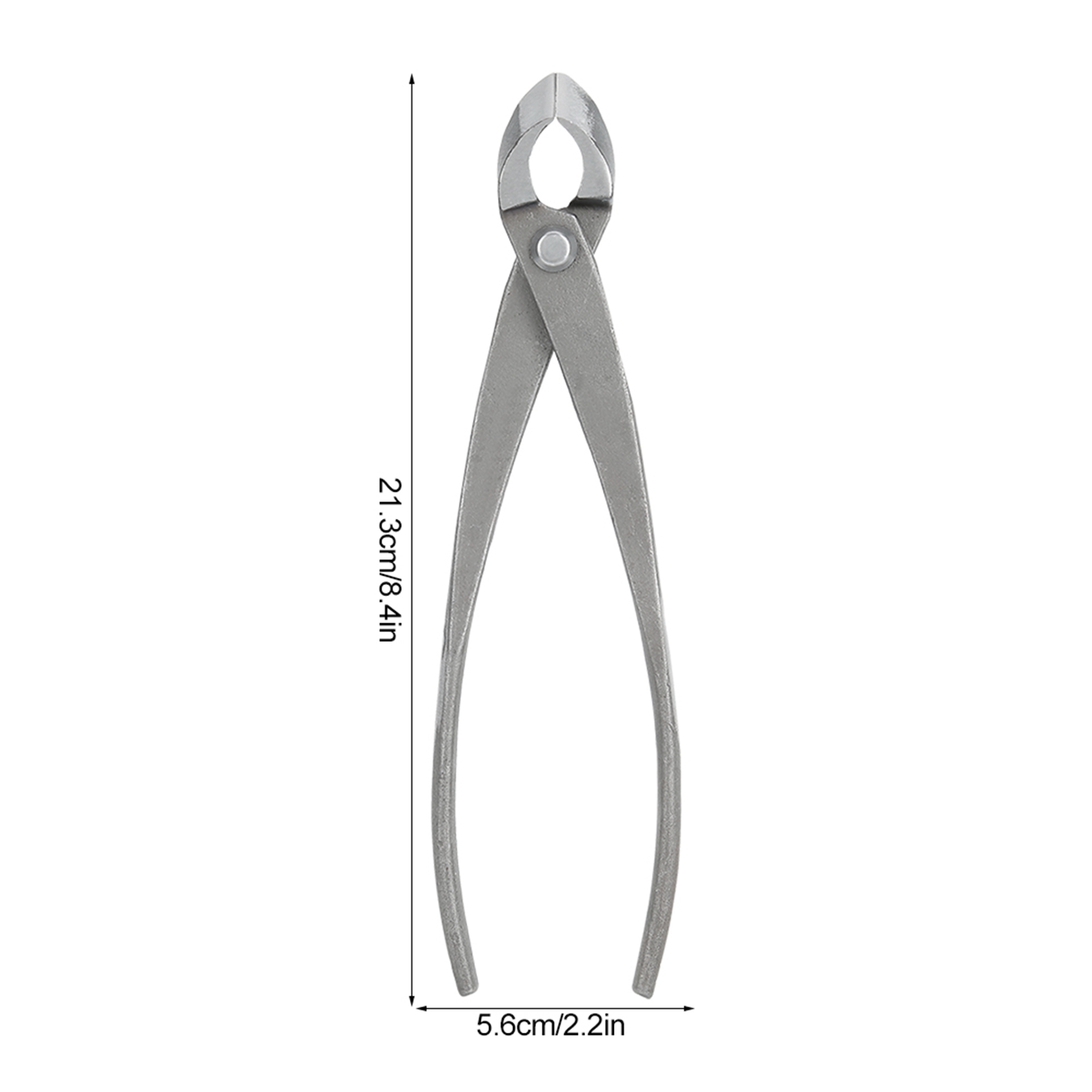 بونساي القاطع متعددة الوظائف ت - مراجعة Concave Branch Cutter وسعره