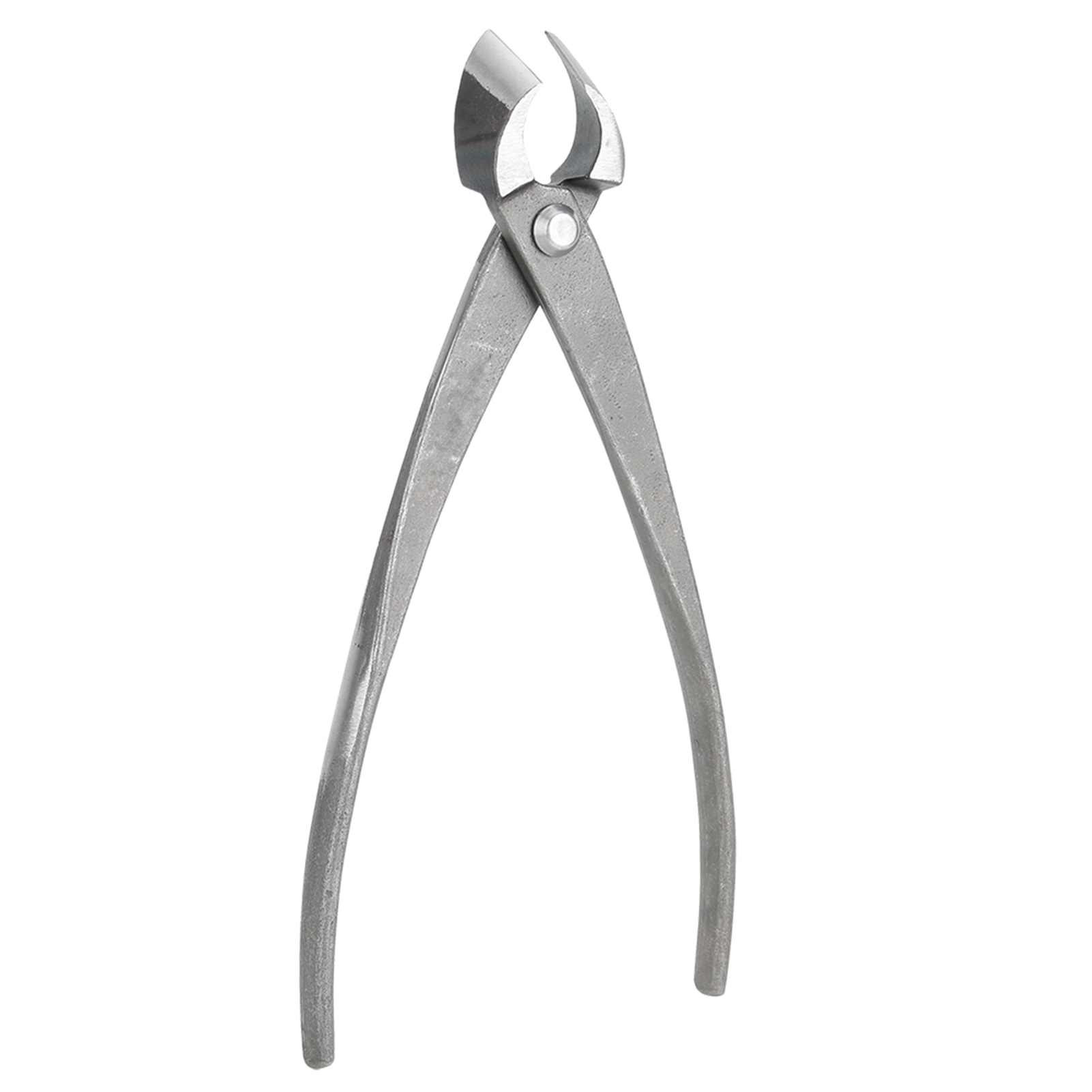 بونساي القاطع متعددة الوظائف ت - مراجعة Concave Branch Cutter وسعره