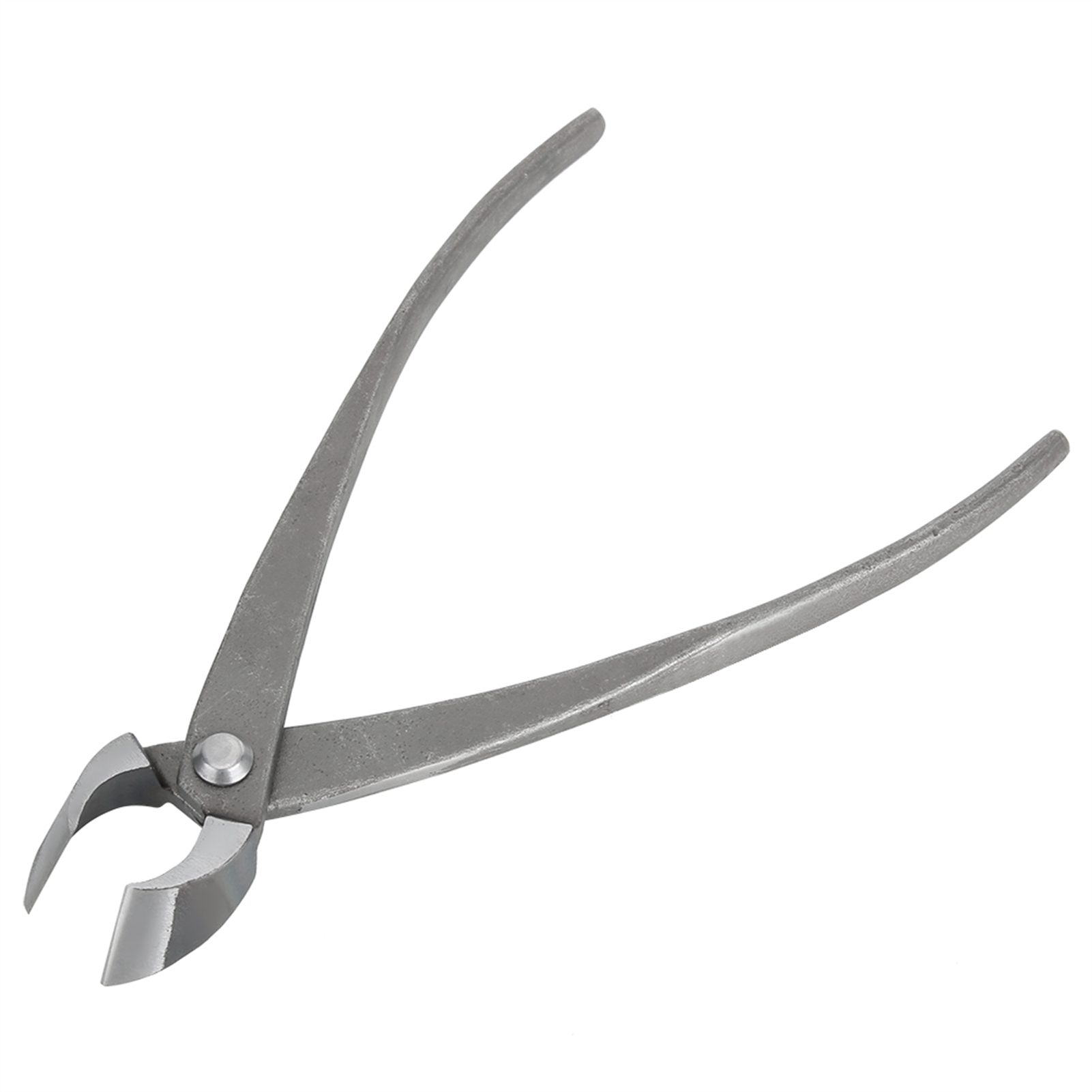 بونساي القاطع متعددة الوظائف ت - مراجعة Concave Branch Cutter وسعره