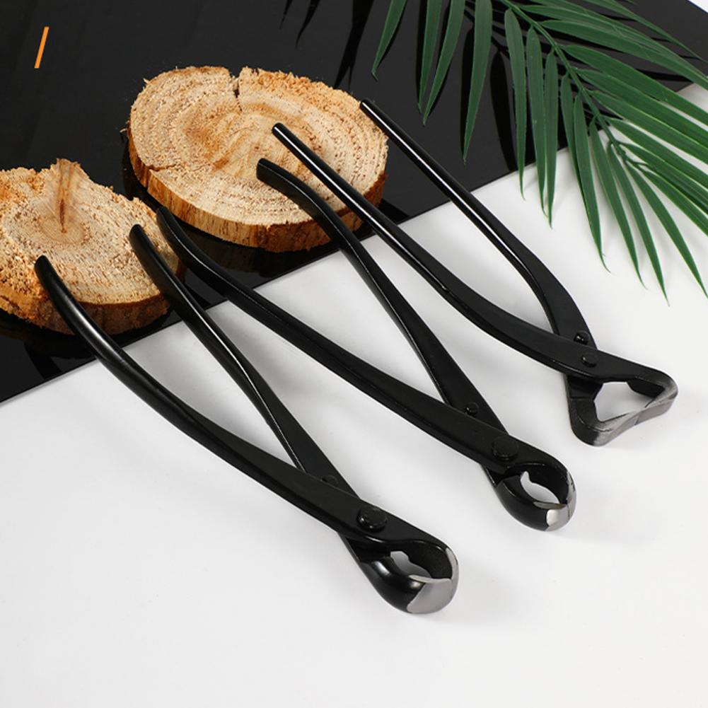بونساي فرع مقعر القاطع المنغني - مراجعة Concave Branch Cutter وسعره