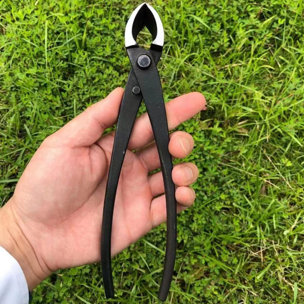 بونساي فرع مقعر القاطع المنغني - مراجعة Concave Branch Cutter وسعره