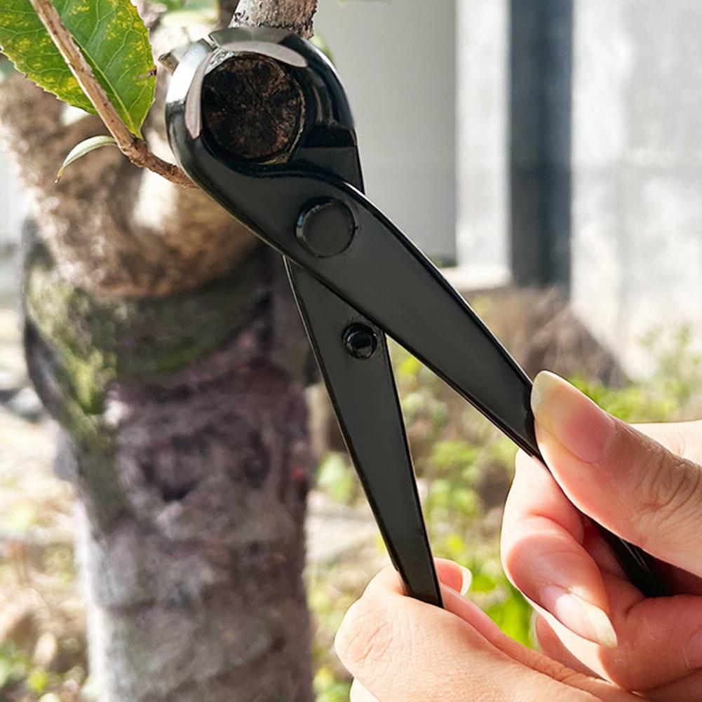 بونساي فرع مقعر القاطع المنغني - مراجعة Concave Branch Cutter وسعره