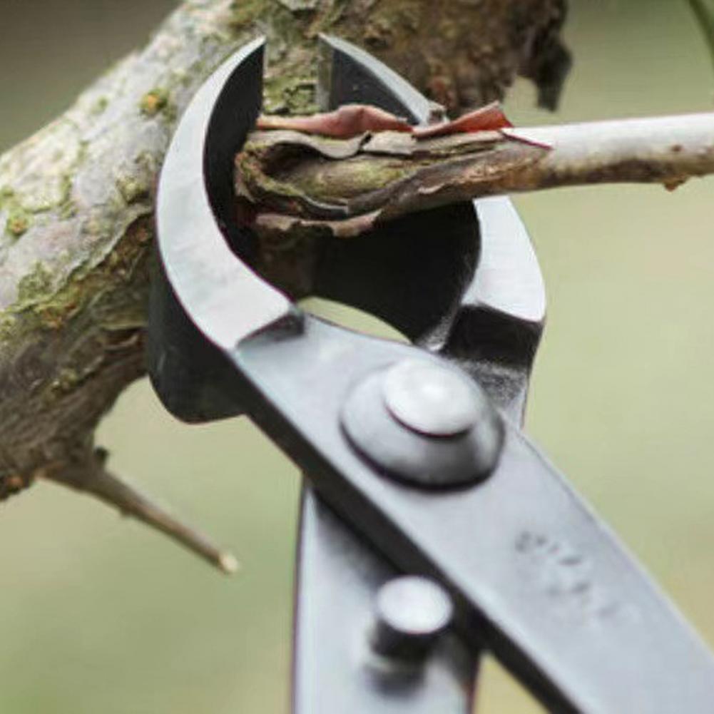 بونساي فرع مقعر القاطع المنغني - مراجعة Concave Branch Cutter وسعره