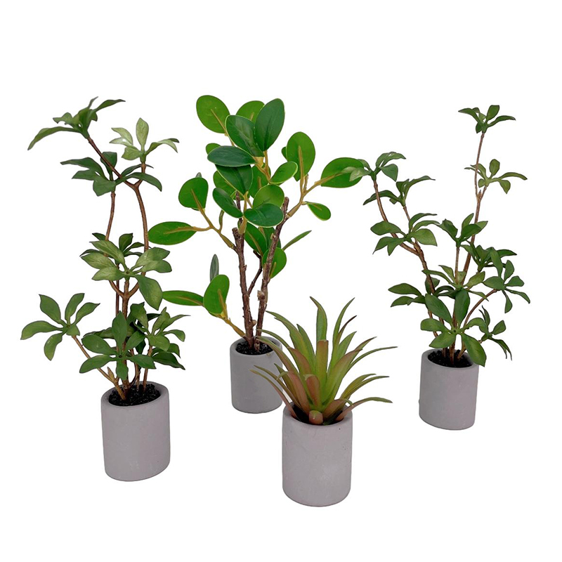 1:6 دمية مصغرة بوعاء النبات ال - مراجعة Bonsai Garden Zen وسعره