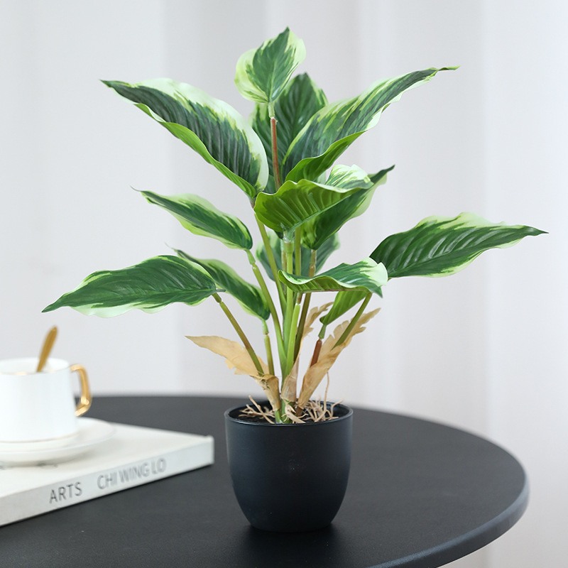 نباتات خضراء اصطناعية، نباتات  - مراجعة Bonsai Garden Layout وسعره