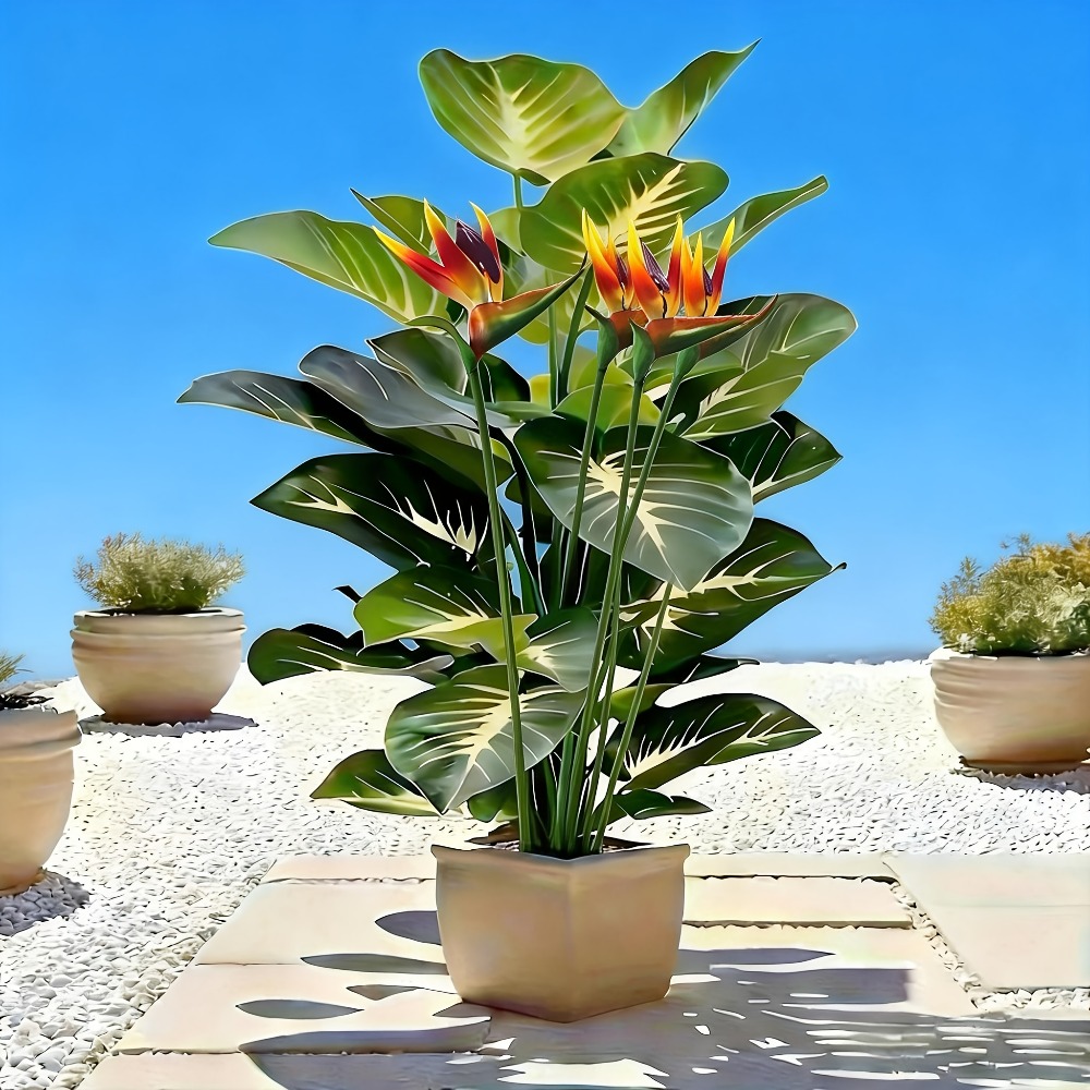 نباتات طائر الجنة والبوثوس الا - مراجعة Bonsai Garden Zen وسعره