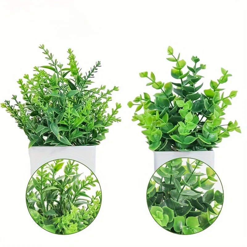 الجملة بونساي الاصطناعي الأخضر - مراجعة Bonsai Garden Zen وسعره
