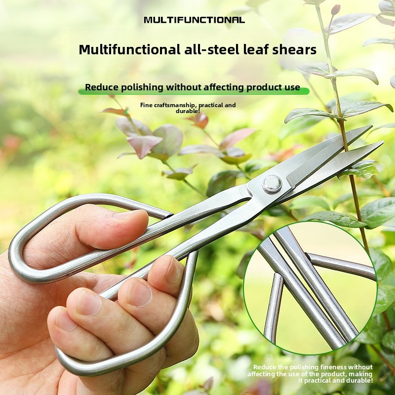 مقص أوراق العطاء أدوات بونساي  - مراجعة Concave Branch Cutter وسعره