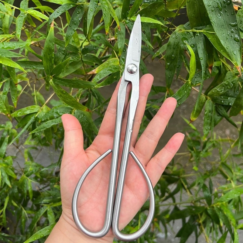 مقص أوراق العطاء أدوات بونساي  - مراجعة Concave Branch Cutter وسعره