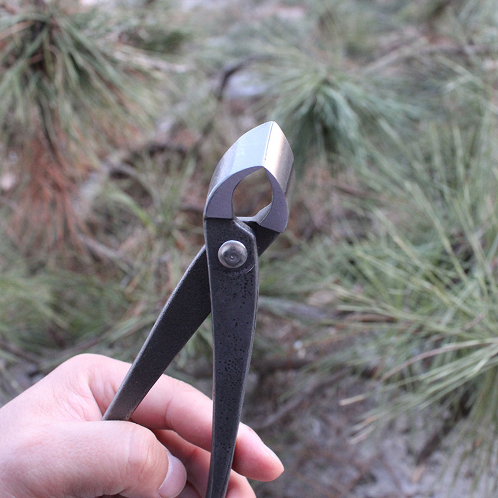حديقة بونساي مقبض القاطع مقعر  - مراجعة Concave Branch Cutter وسعره