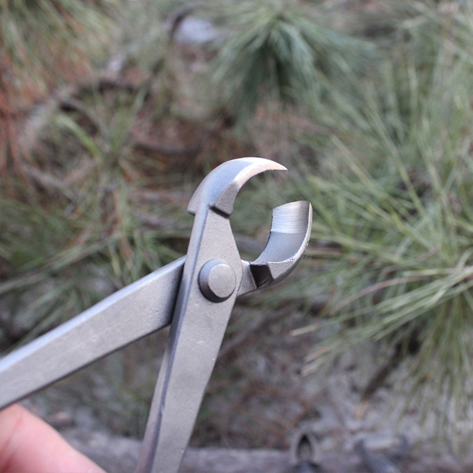 حديقة بونساي مقبض القاطع مقعر  - مراجعة Concave Branch Cutter وسعره