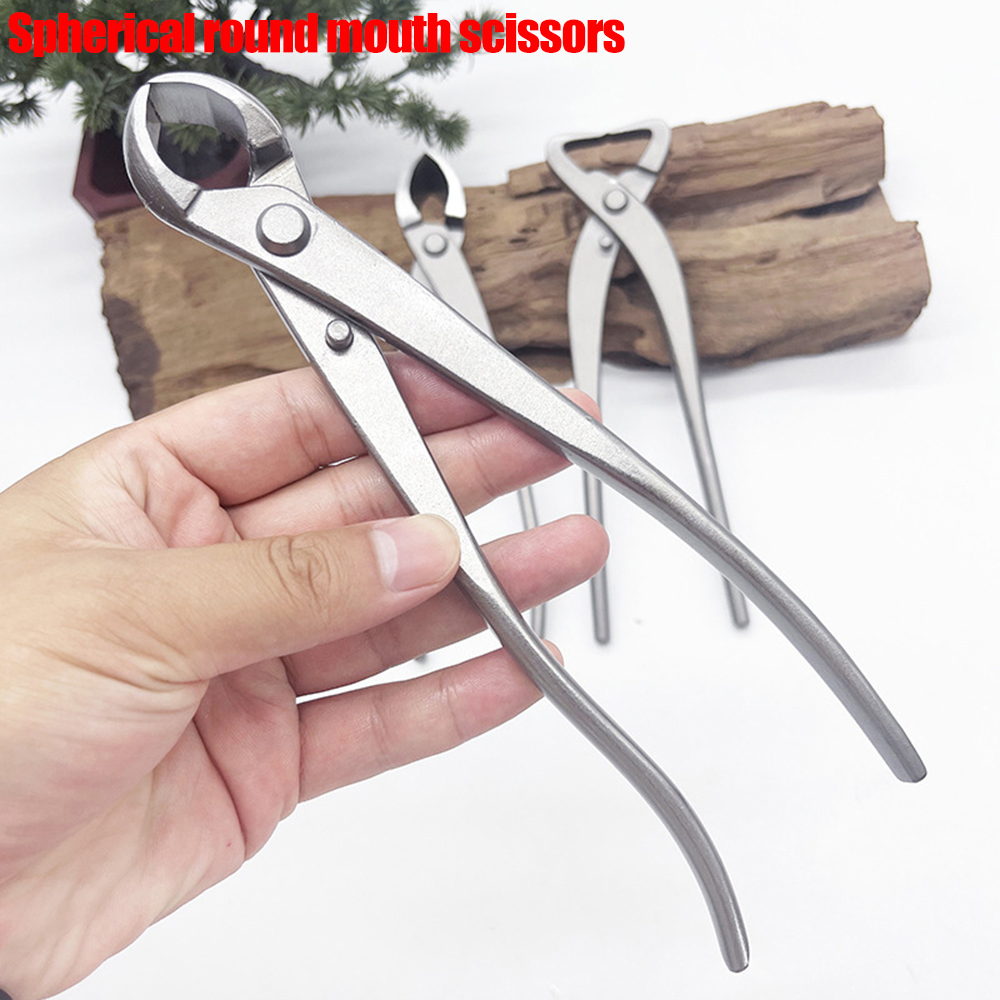 ثلاثة نماذج من مقصات البونساي  - مراجعة Concave Branch Cutter وسعره