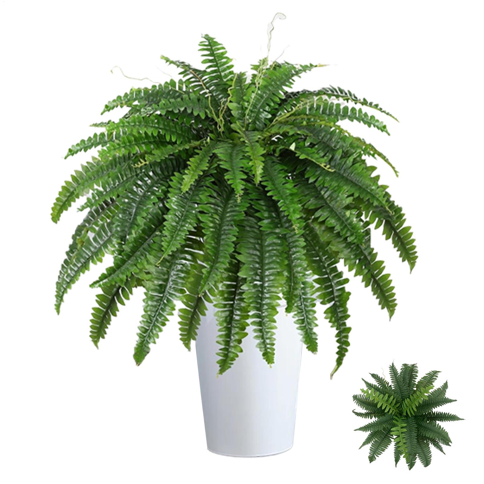 نباتات بوسطن فيرن الاصطناعية ا - مراجعة Bonsai Garden Boston وسعره