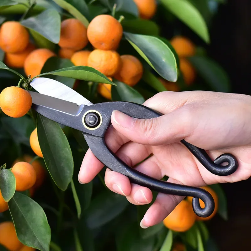 عالية الكربون الصلب حديقة تشذي - مراجعة Concave Branch Cutter وسعره